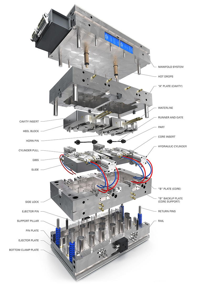Anatomy of a Mold
